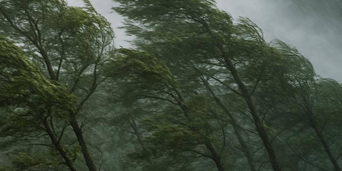 Clima: Día nublado y fuertes vientos en la Sierra