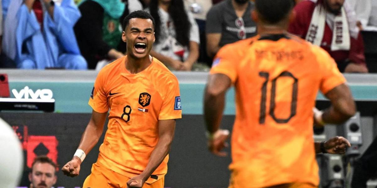 Qatar 2022: Países Bajos clasifica primero del grupo A del Mundial