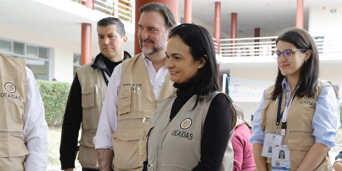 Observadores de la OEA muy contentos por la normalidad de las votaciones presidenciales en Ecuador