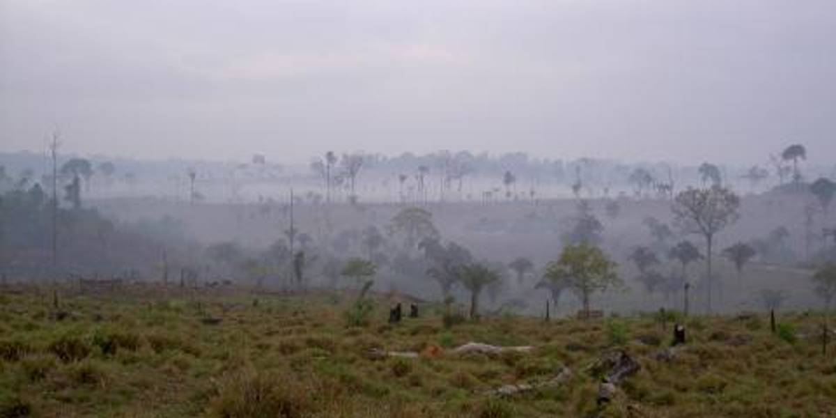 Las condiciones de lluvia se mantendrán en la Amazonía en los próximos días