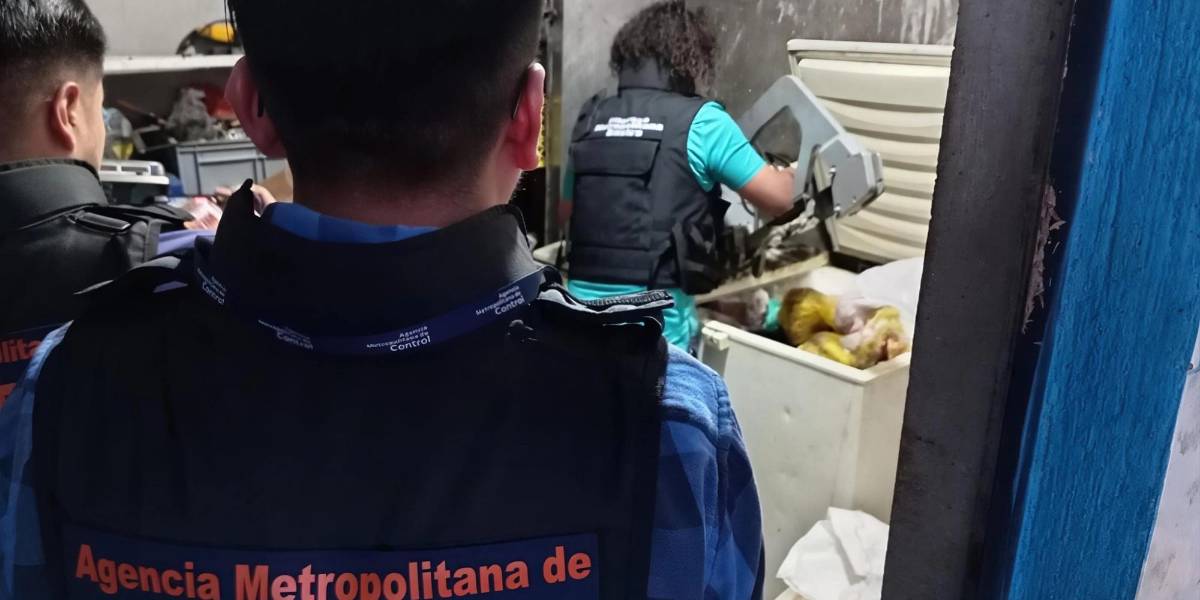 Más de 200 kilos de carne de res se hallaron en un camal clandestino de Calderón