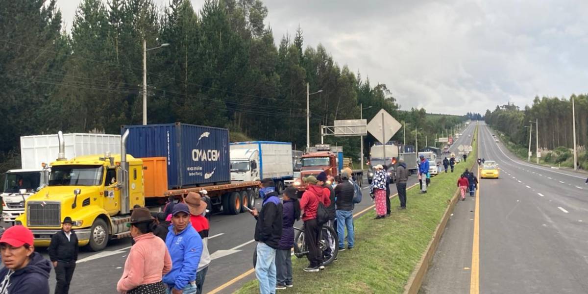 Movilizaciones en Ecuador: plantaciones de flores fueron atacadas