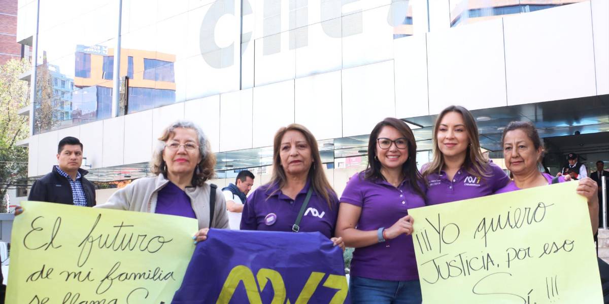 15 organizaciones están calificadas para campaña de la Asamblea Constituyente