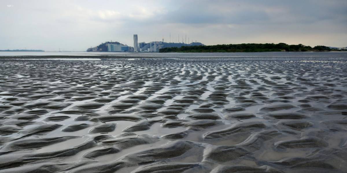 Prefectura adjudica contrato de dragado del río Guayas al consorcio Dragando por Guayas