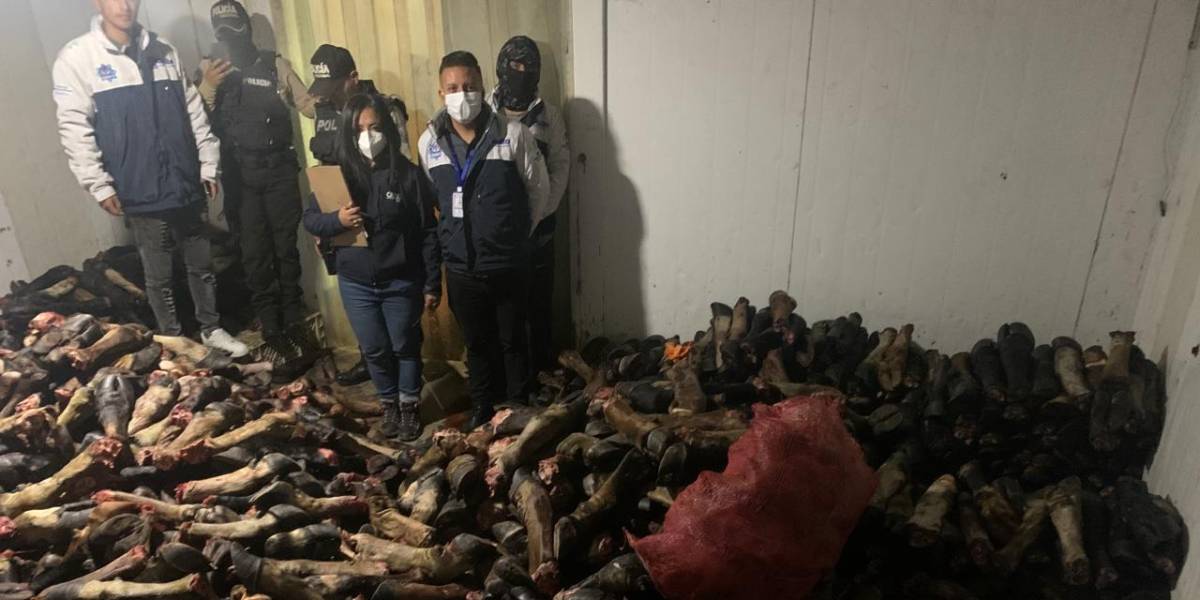 Quito | Seis toneladas carne de cerdo y res se decomisan de un camal clandestino en el sur de la ciudad