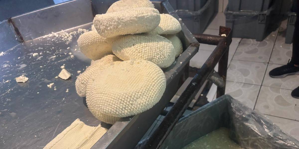 Una planta de lácteos fue clausurada por deficientes condiciones sanitarias, en Chimborazo
