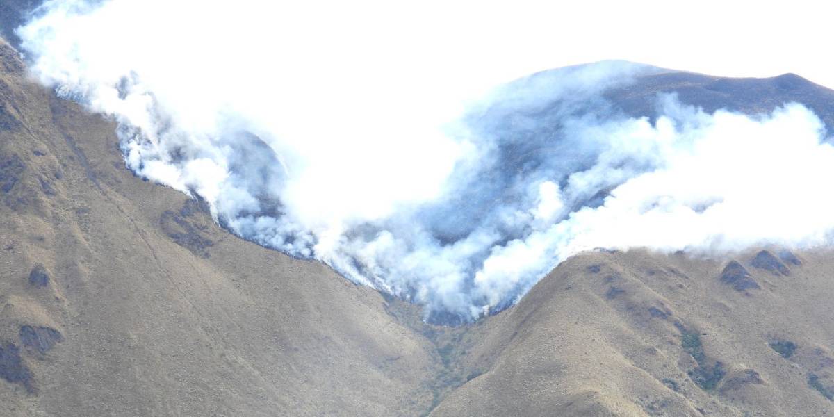 Un incendio forestal arrasó con mil hectáreas de vegetación en Carchi