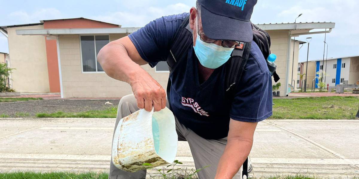 Ecuador se suma a la iniciativa'ciudades ODS' ¿de qué se trata?