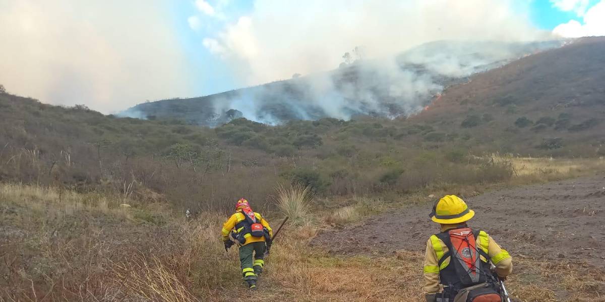 Quito: los bomberos controlaron el incendio en el Cerro Casitagua