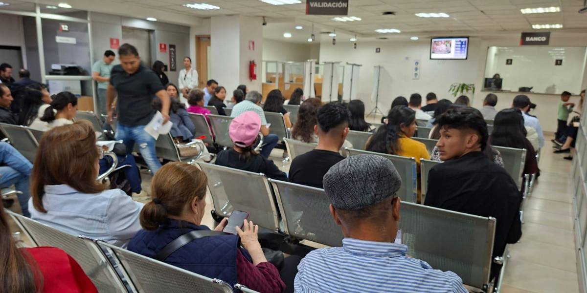 Feriado por la Independencia de Guayaquil: estos servicios estarán habilitados en Ecuador