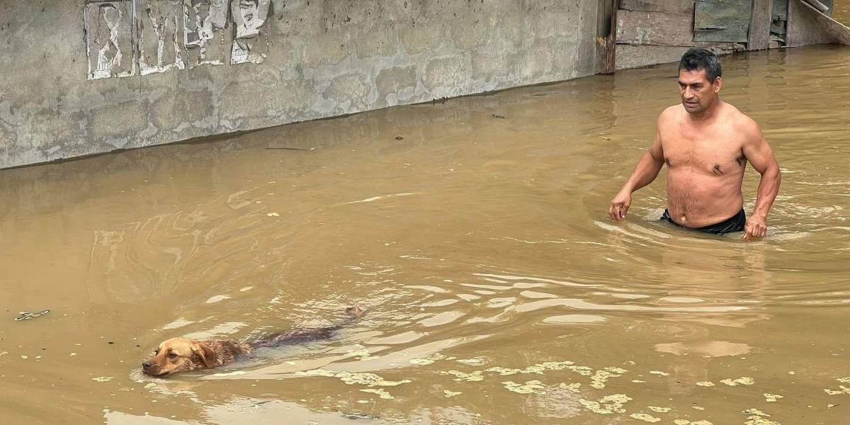 Fuertes lluvias provocan desbordamientos de ríos en Zamora Chinchipe