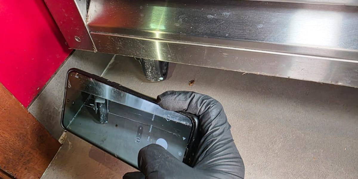 Arcsa clausuró una cafetería de Samborondón por presencia de plagas