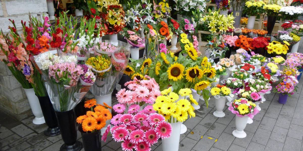 ¿Por qué se regalan flores el 29 de febrero?
