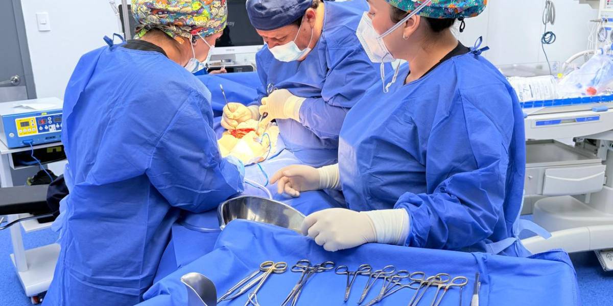 Gobierno descarta una declaratoria de emergencia en el sector de la salud, tras fallecimiento de 12 neonatos