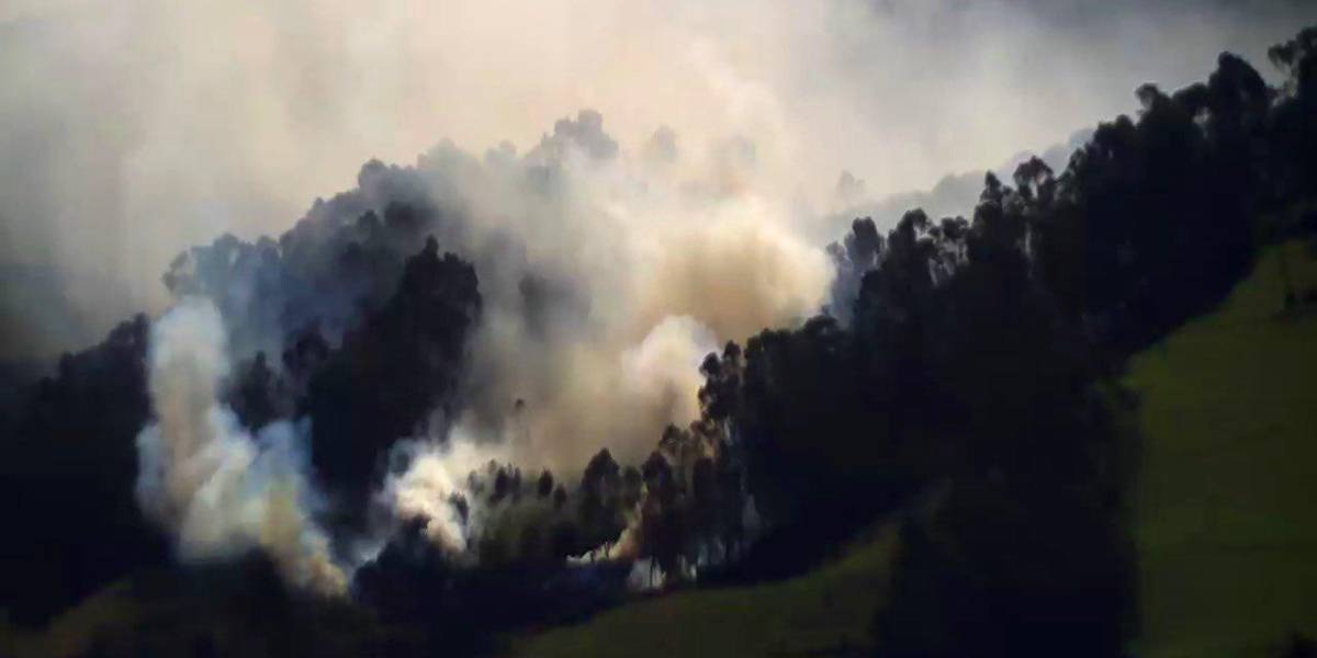Quito: un conato de incendio forestal, en La Libertad Alta, fue controlado por el Cuerpo de Bomberos