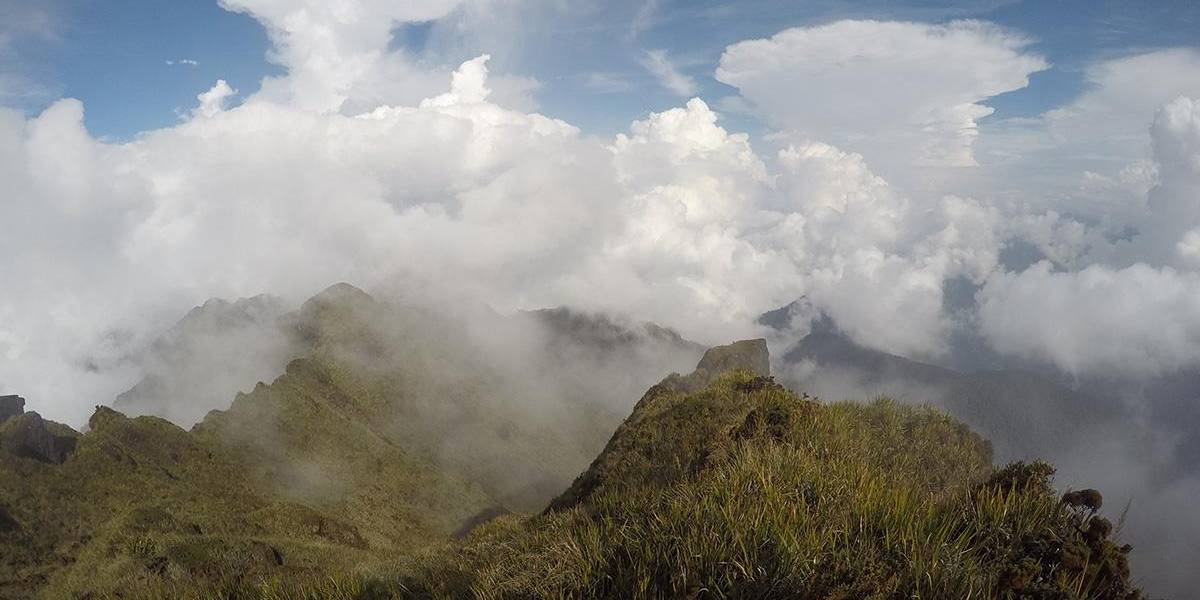 Día Mundial del Ambiente: Ecuador declara dos nuevas áreas protegidas