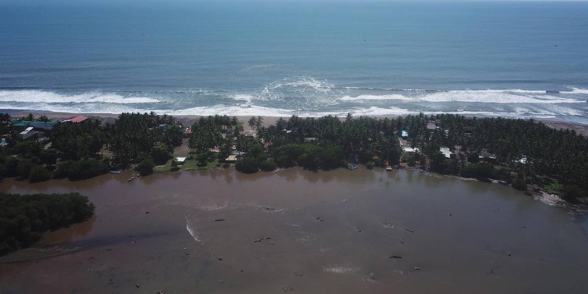 Día Mundial de los Océanos: ¿cómo salvar ecosistemas marinos?