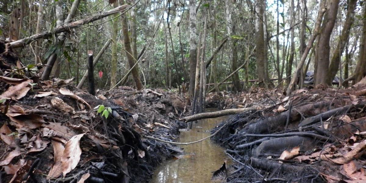 Se oficializa derogación del Decreto 95, que promovía actividad petrolera en la Amazonía