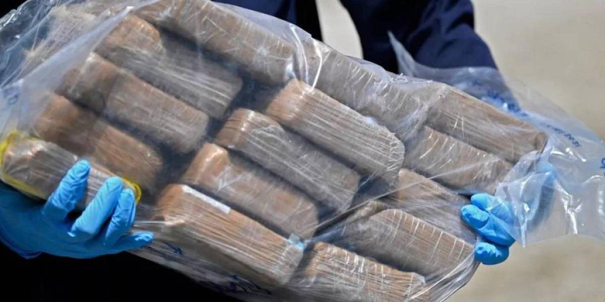 Hungría intercepta un cargamento de cocaína procedente de Ecuador
