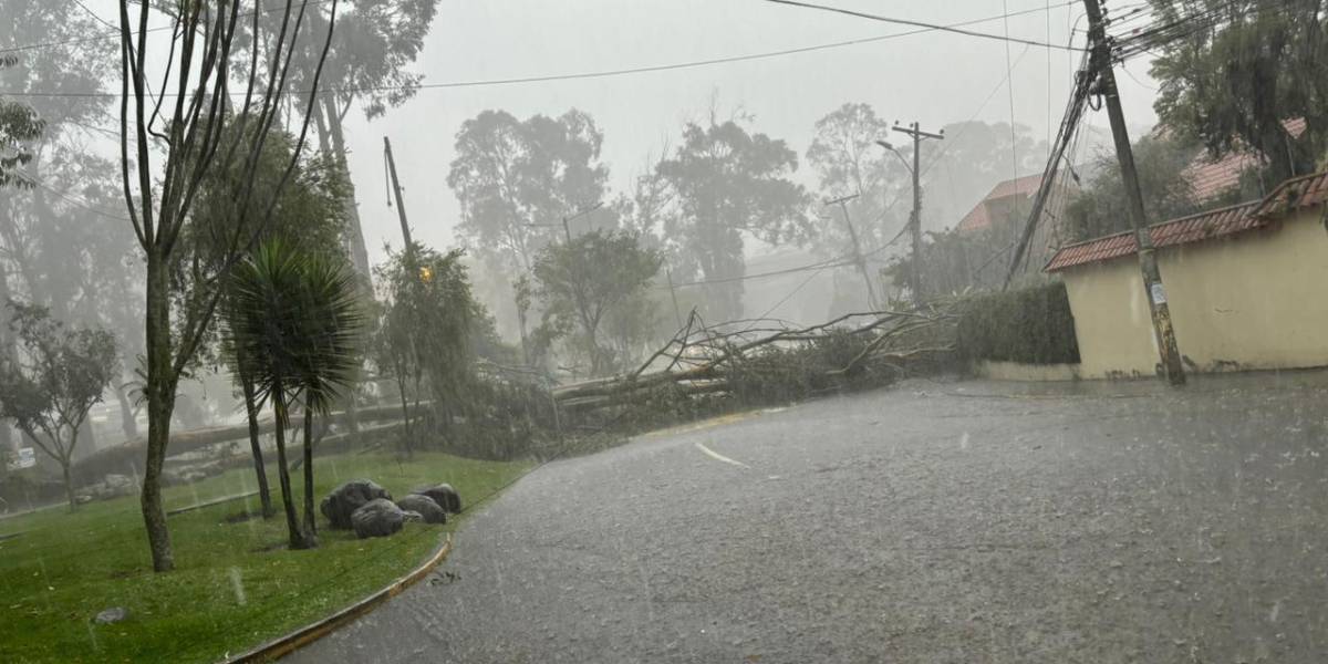 Cuenca reporta inundaciones tras desbordamiento del río Tomebamba