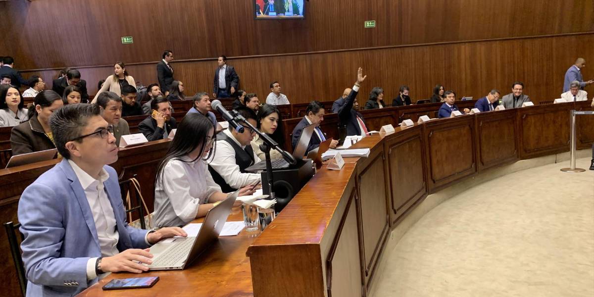 Juicio político a Lasso: minuto a minuto del último día de la fase de pruebas en la Comisión de Fiscalización