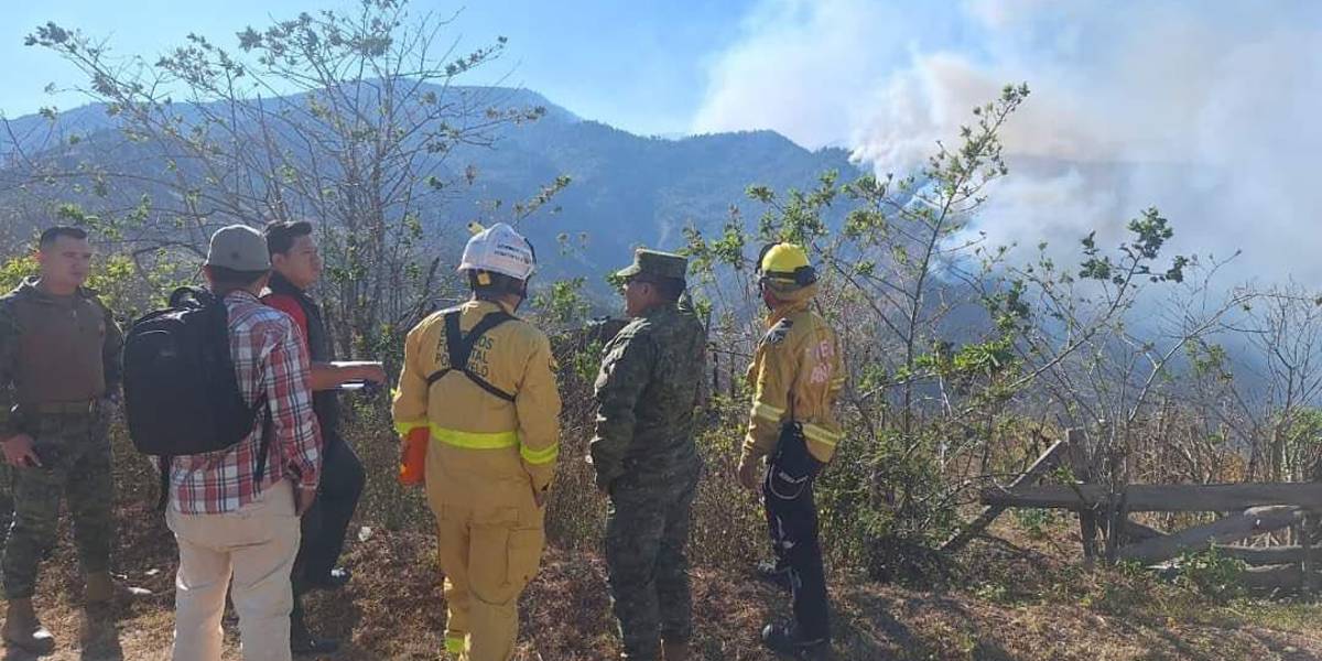 Incendio devastador en Quilanga, Loja: 3 877 hectáreas de bosques y pajonales arrasados