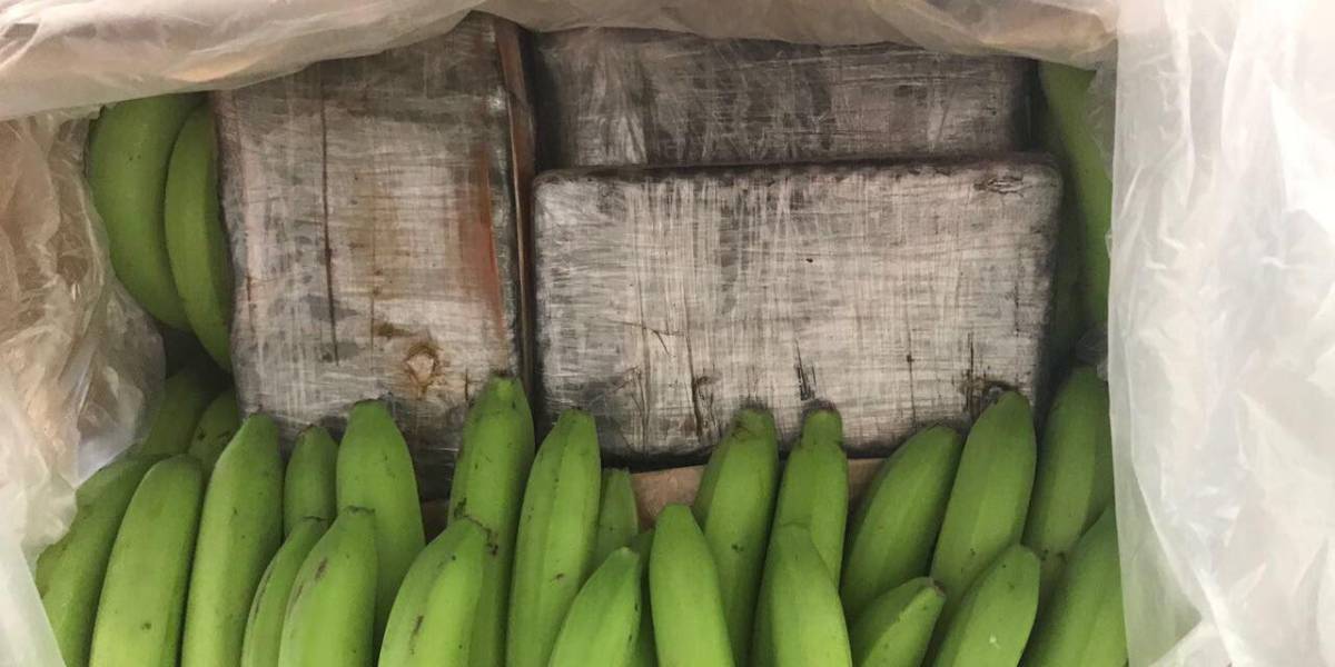 Decomiso de droga en bananos de Ecuador superó las 10 toneladas desde 2020
