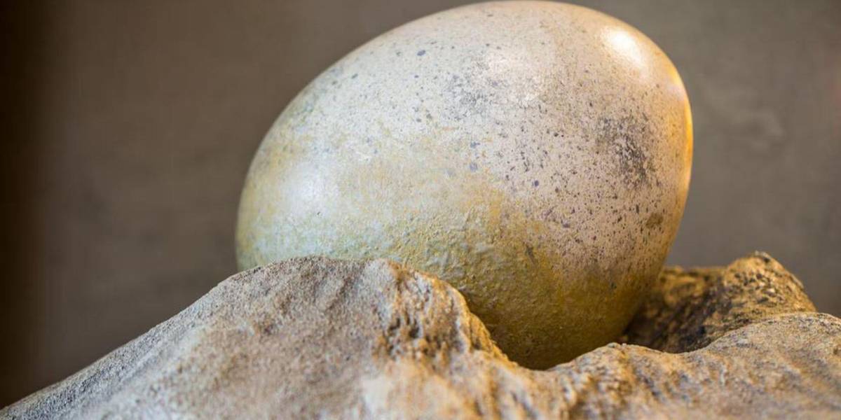 Tres huevos de dinosaurio cristalizados fueron hallados en China