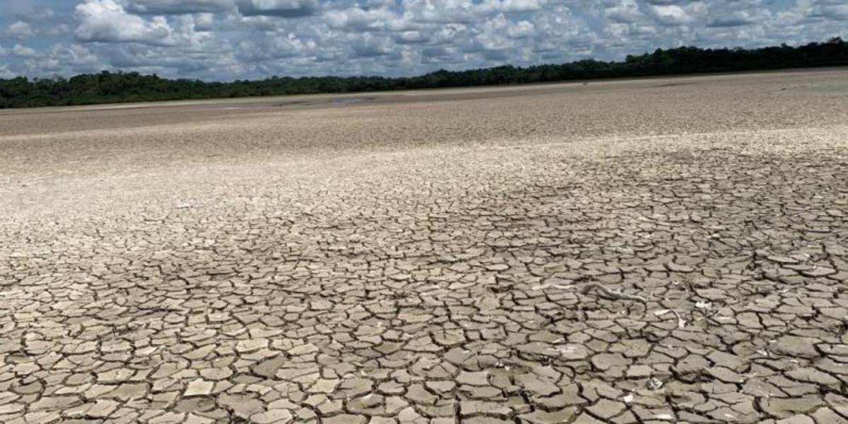 14 lagunas del complejo Cuyabeno se quedaron sin agua por el estiaje
