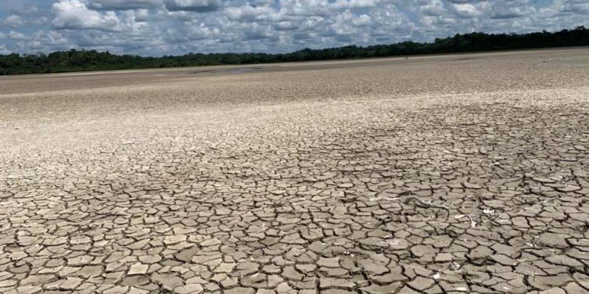 14 lagunas del complejo Cuyabeno se quedaron sin agua por el estiaje
