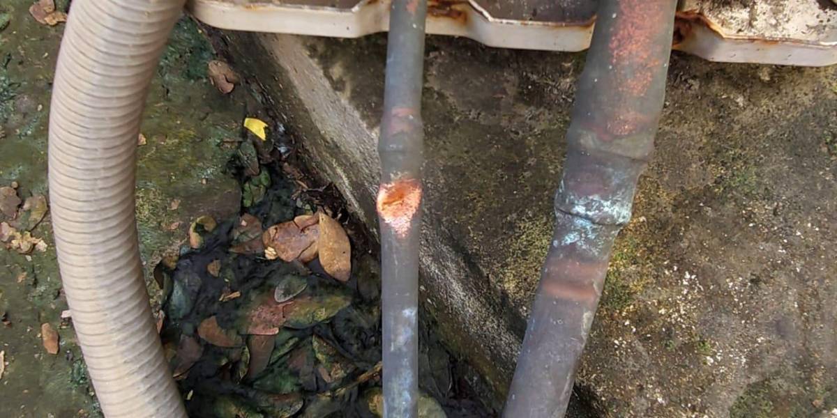 Arcsa denuncia vandalismo contra equipos institucionales en Parque Samanes, Guayaquil