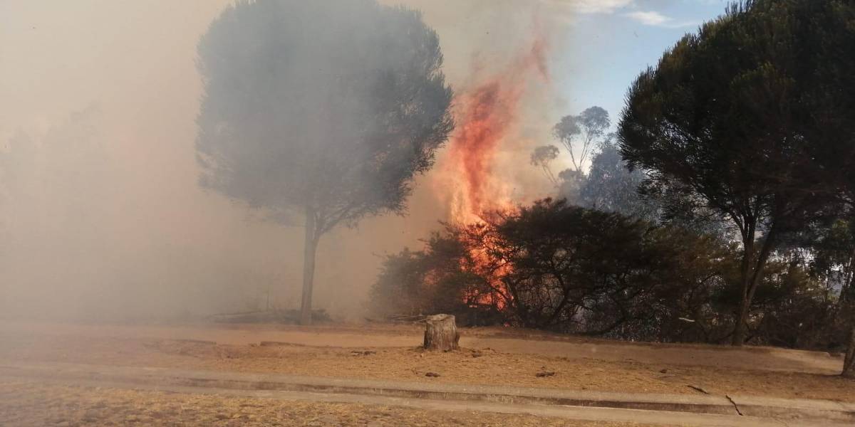Dos incendios forestales se registraron esta tarde en Quito