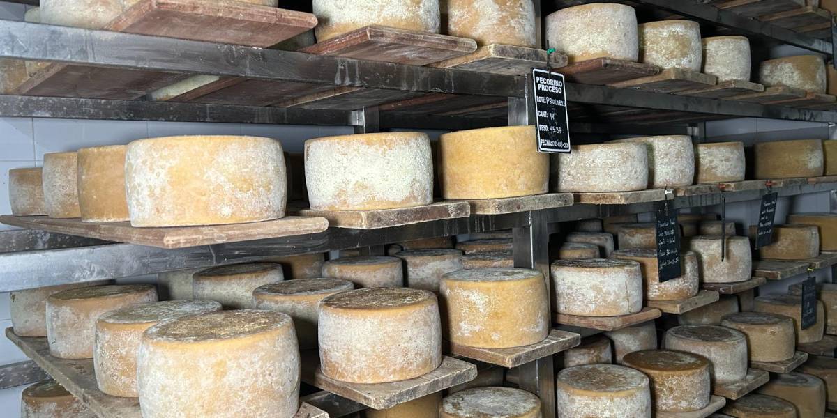 Los quesos maduros y semimaduros ganan espacio en el mercado ecuatoriano