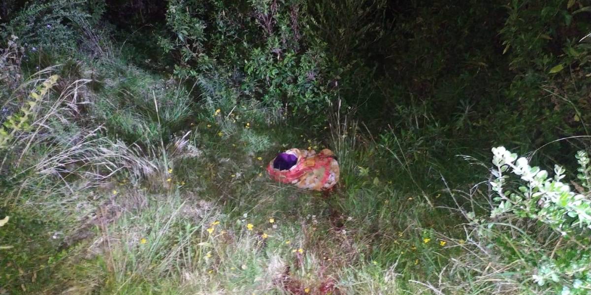 Bebé recién nacida fue abandonada en Imbabura