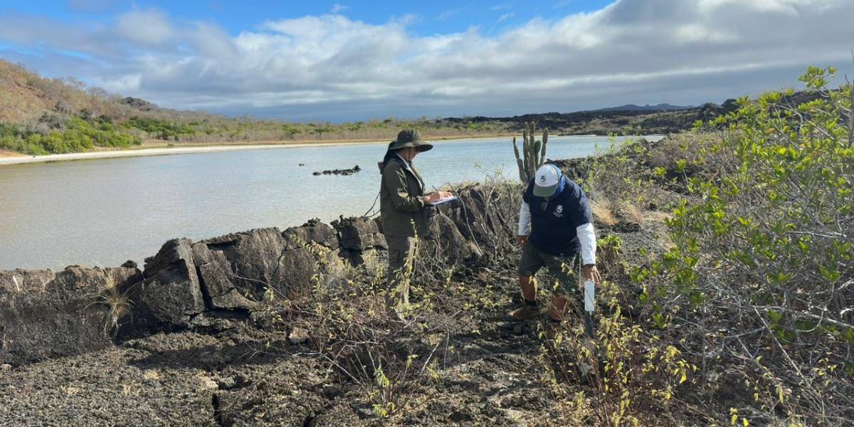 Clima del 27 de noviembre: radiación UV muy alta en Galápagos y lluvia en la Costa, Sierra y Amazonía