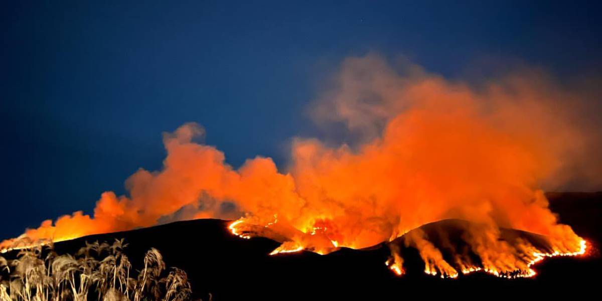 Un incendio forestal se reporta en el Parque Nacional Cayambe - Coca