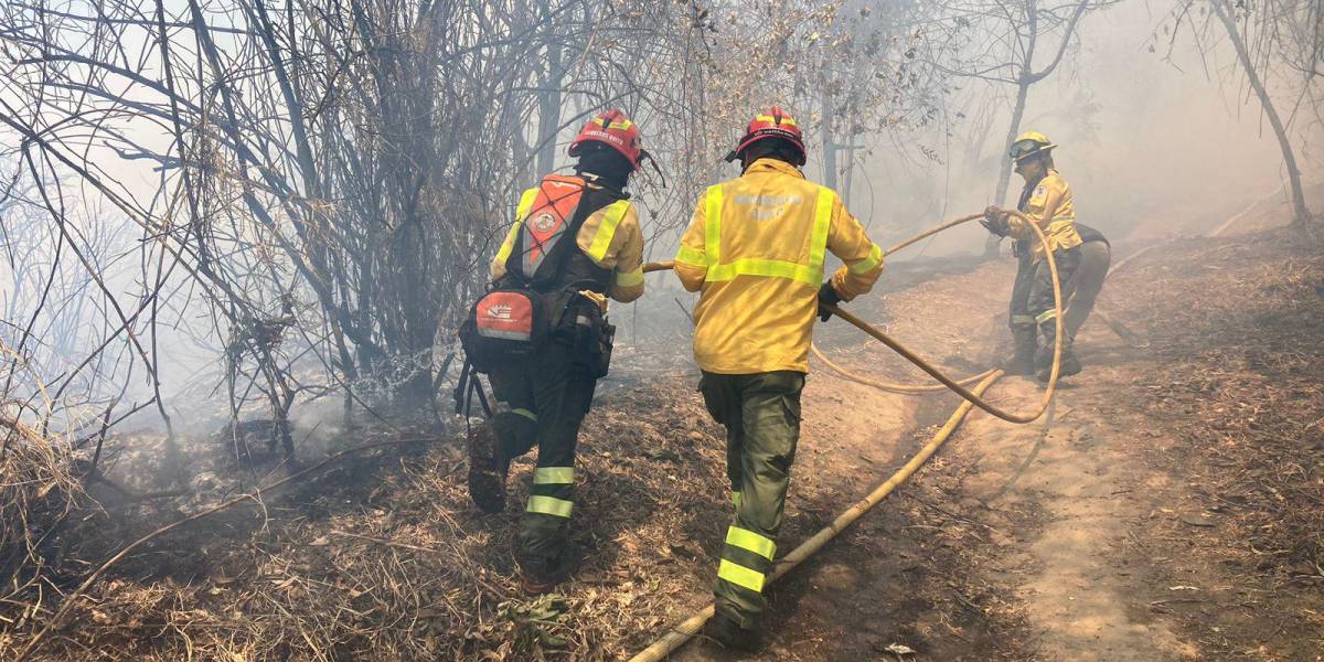 Incendios forestales Quito: los bomberos atienden emergencias en el Itchimbía, El Condado y Carcelén