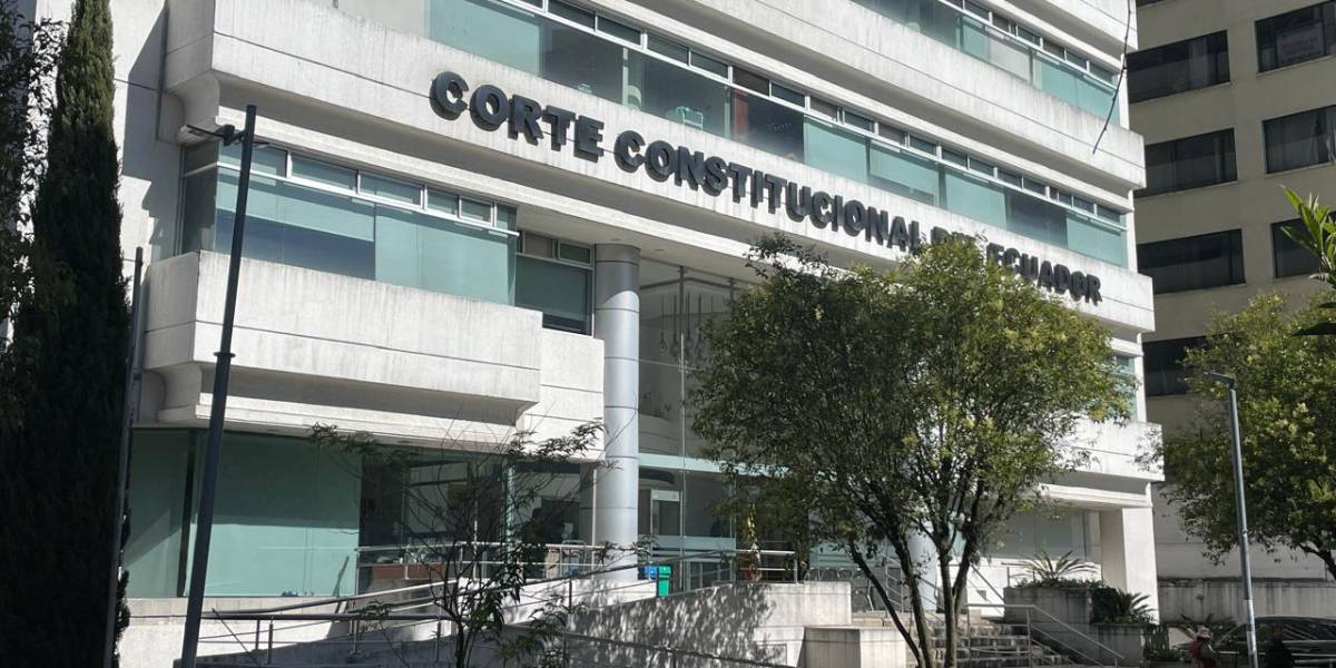 La acción extraordinaria de protección presentada por la Liga Azul fue aceptada en la Corte Constitucional