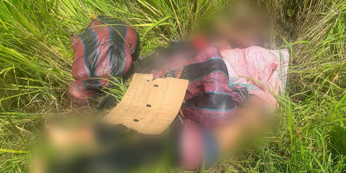 Cinco cadáveres fueron abandonados en una zona rural de Palenque, en Los Ríos