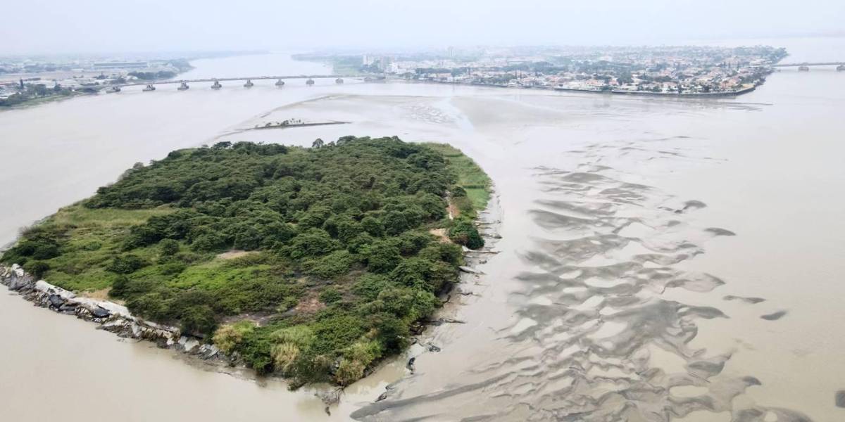 Dragado del río Guayas iniciaría en agosto con plazo de 720 días para extraer el sedimento