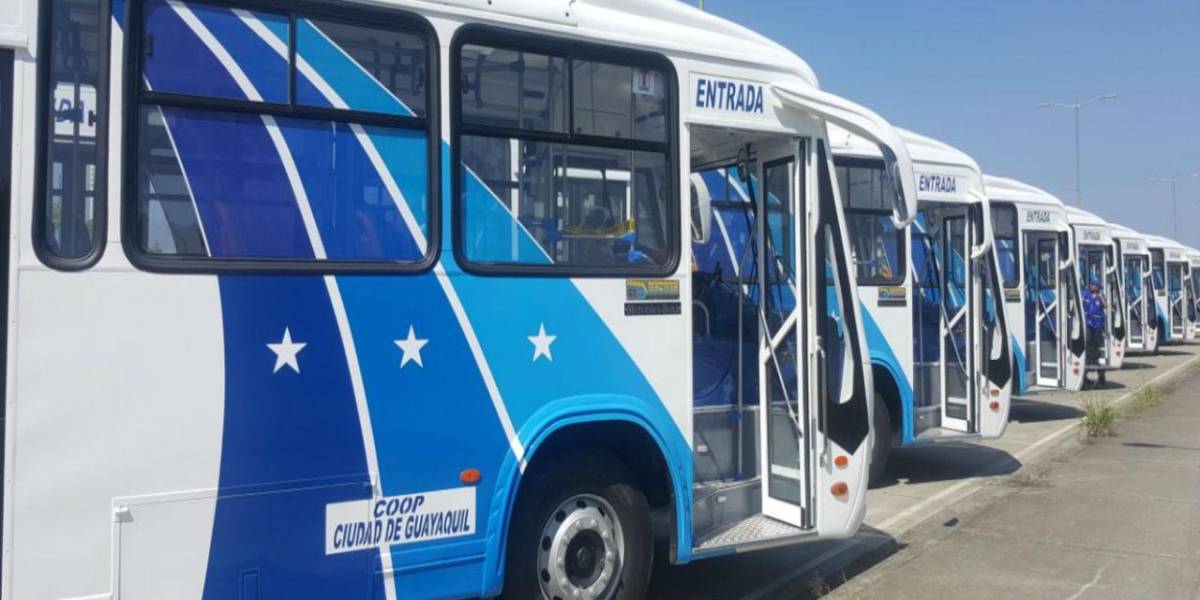 Paralización de buses perjudica a miles de usuarios en Guayaquil