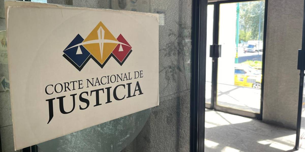 Consulta popular 2024 | Con las judicaturas constitucionales se busca frenar el uso indebido de garantías jurisdiccionales