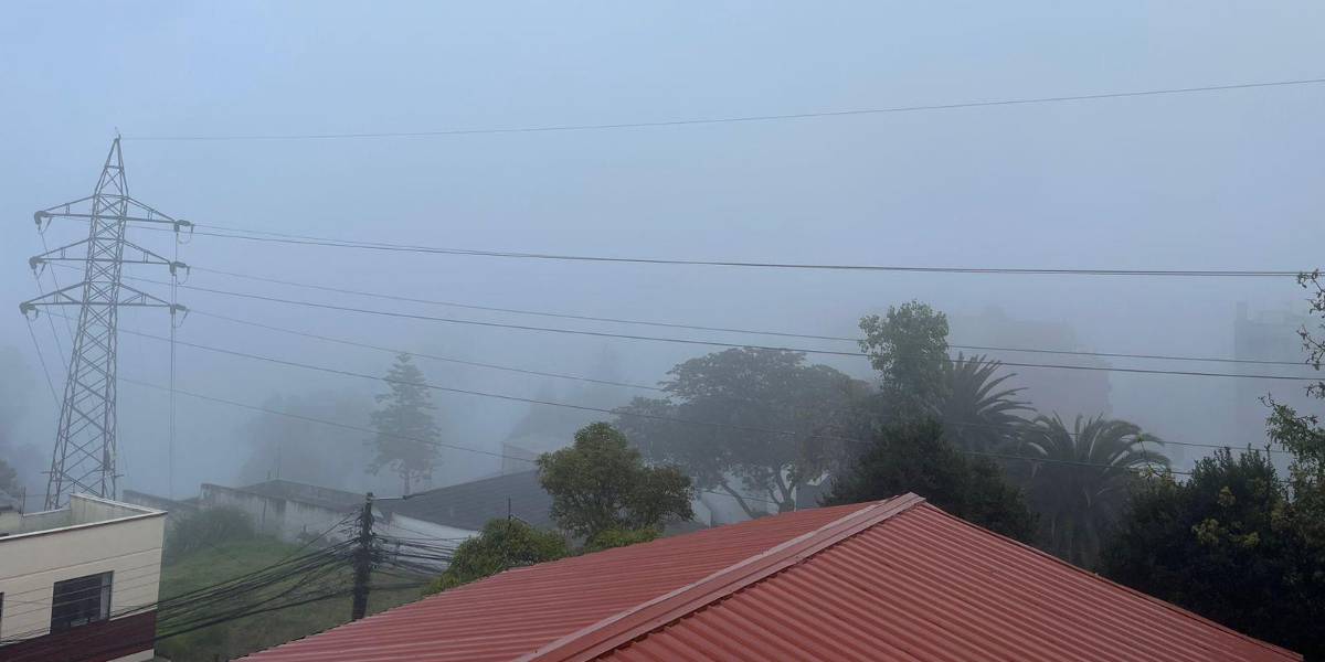 Una fuerte lluvia se registró en Quito, la tarde de este 20 de junio