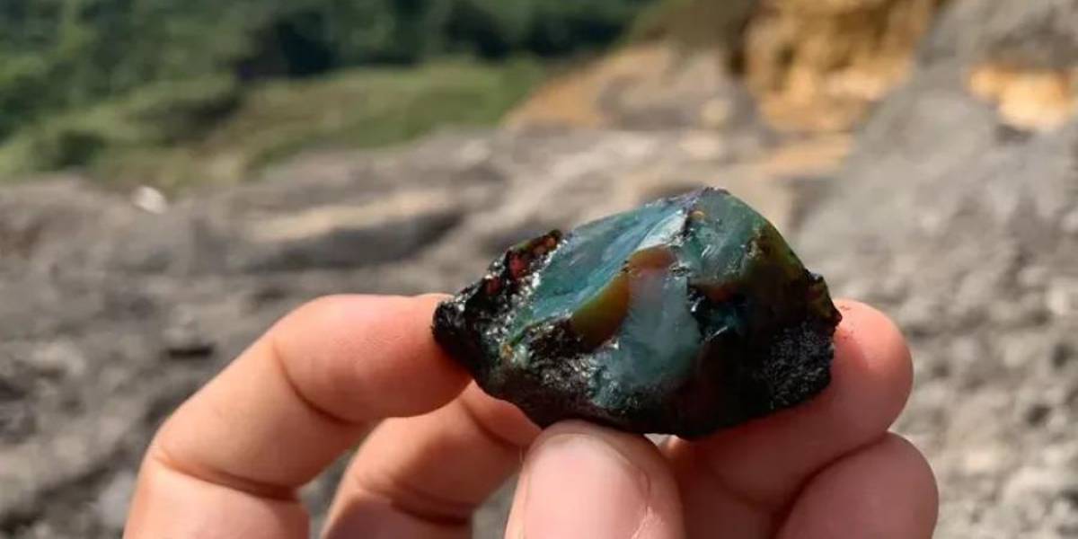 La Amazonía ecuatoriana guarda el mayor yacimiento de ámbar de Sudamérica