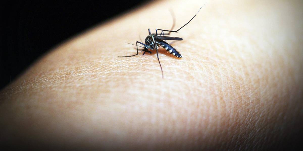Intervendrán 4 sectores de Guayaquil por casos de dengue