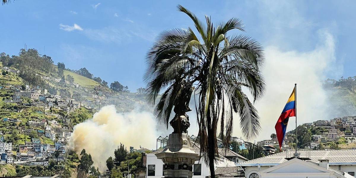 Quito: 79 emergencias por incendios forestales en lo que va de 2023