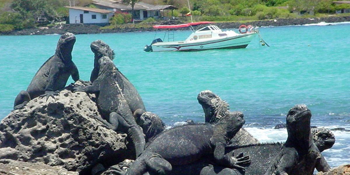Retiran más de dos toneladas de desechos de las costas de Galápagos