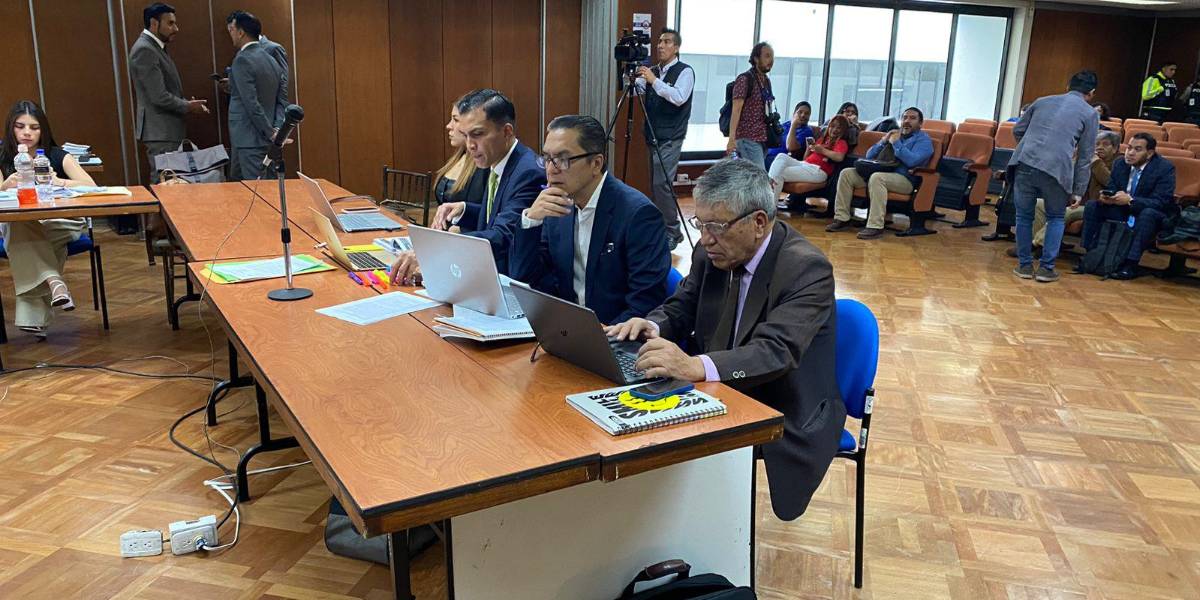 Caso Independencia Judicial | Wilman Terán anuncia a Ronny Aleaga como uno de sus testigos