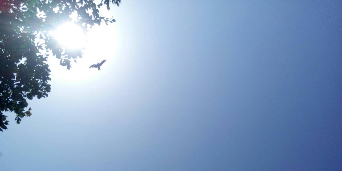 Clima: Radiación UV muy alta en todo el país