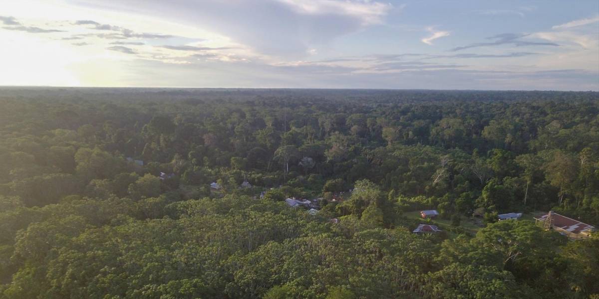Ecuador amplía su reserva natural con 88 000 hectáreas de bosque protegido en Sucumbíos